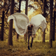 Illustration for article titled Staggering Photos that Combine Self-Portraiture with Surrealism